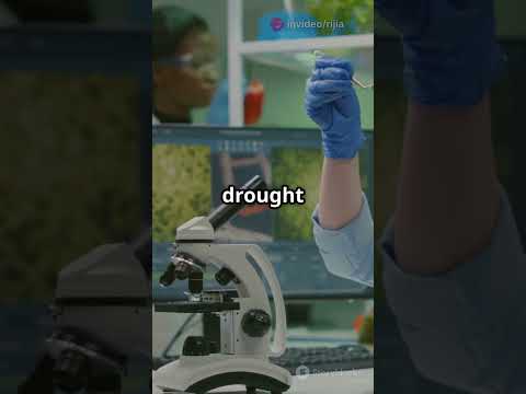 Unlocking the Future of Farming: Agri-Biotech &amp; Genetic Engineering