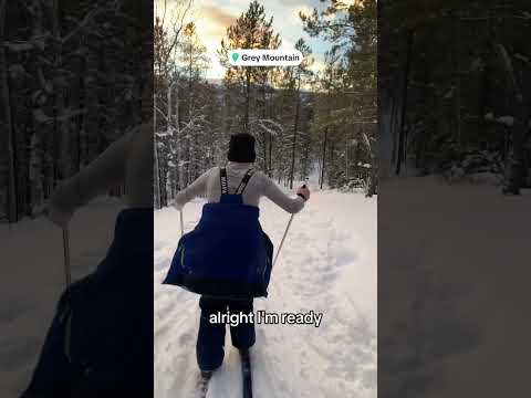 Cross-Country Skiing Fun Family Adventure Yukon Canada Winter Snow